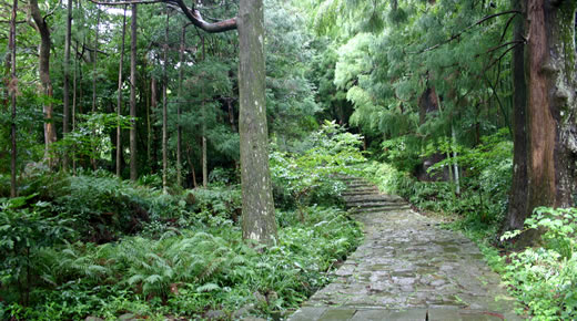 熊野参詣道小辺路