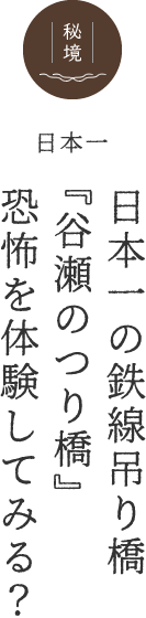 日本一の鉄線吊り橋『谷瀬のつり橋』恐怖を体験してみる?